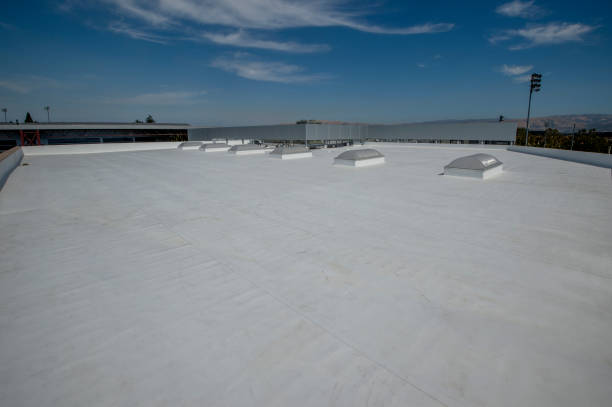 Best Roof Repair  in Hart, MI