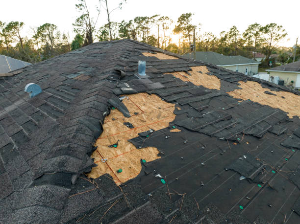 Best Roof Ventilation Installation  in Hart, MI